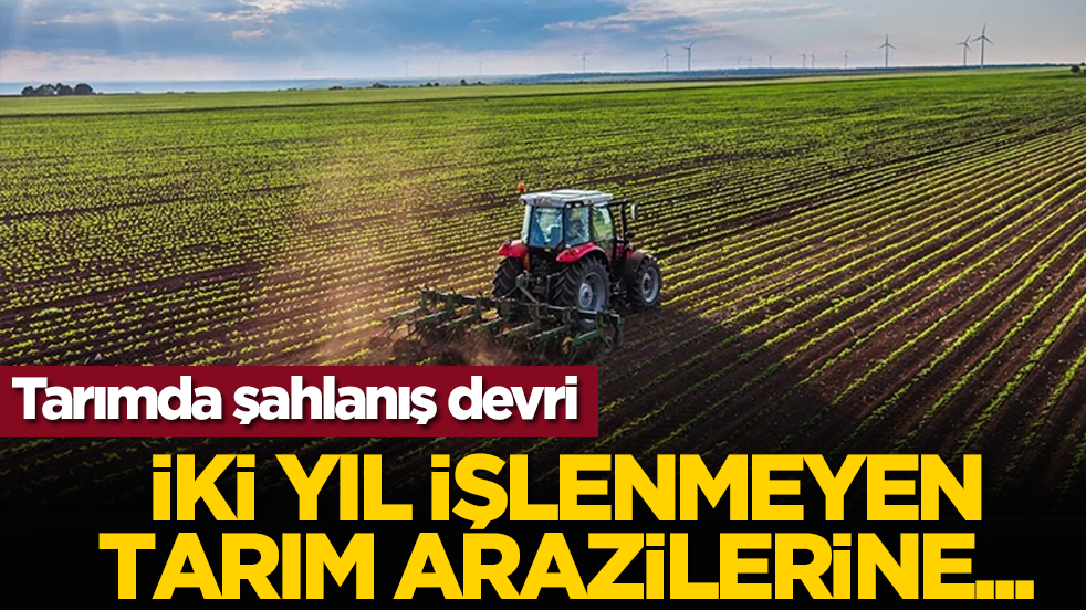 Tarımda şahlanış devri: İki yıl işlenmeyen tarım arazilerine...
