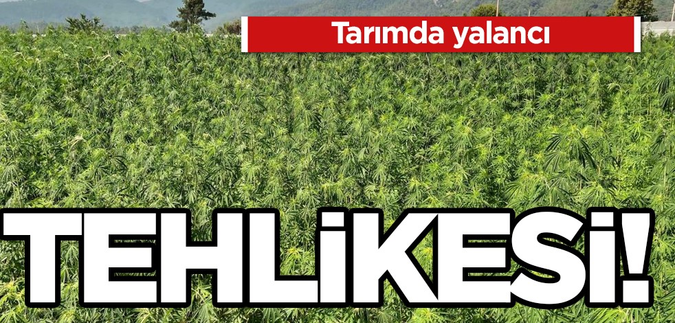 Tarımda yalancı bahar: seriler halinde alarm veriyor hale gelirken yok olma riski ile acil kurulu toplandı!