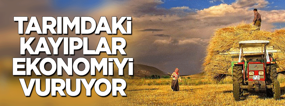 Tarımdaki kayıplar ekonomiyi yoruyor