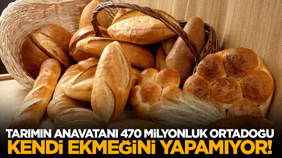 Tarımın anavatanı 470 milyonluk ortadoğu kendi ekmeğini yapamıyor!