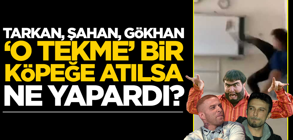 Tarkan, Şahan, Gökhan "o tekme" bir köpeğe atılsa ne yapardı?