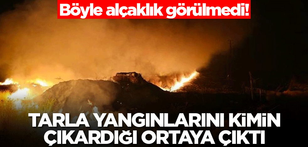 Tarla yangınlarını kimin çıkardığı belli oldu! Çok büyük alçaklık çok