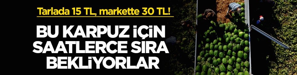 Tarlada 15 TL, markette 30 TL! Bu karpuz için saatlerce sıra bekliyorlar