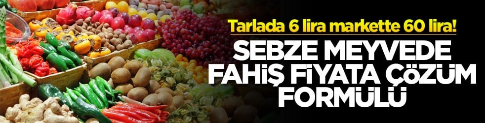 Tarlada 6 lira markette 60 lira! Sebze meyvede fahiş fiyata çözüm formülü