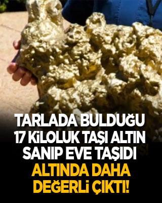 Tarlada bulduğu 17 kiloluk taşı altın sanıp eve taşıdı, altında daha değerli çıktı!