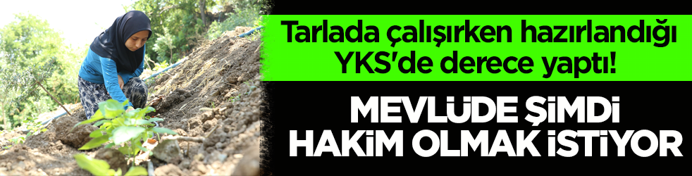 Tarlada çalışırken hazırlandığı YKS'de derece yaptı! Mevlüde şimdi hakim olmak istiyor