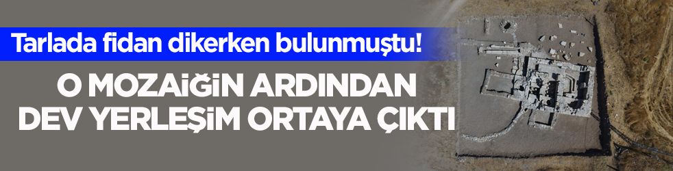 Tarlada fidan dikerken bulunmuştu! O mozaiğin ardından dev yerleşim ortaya çıktı