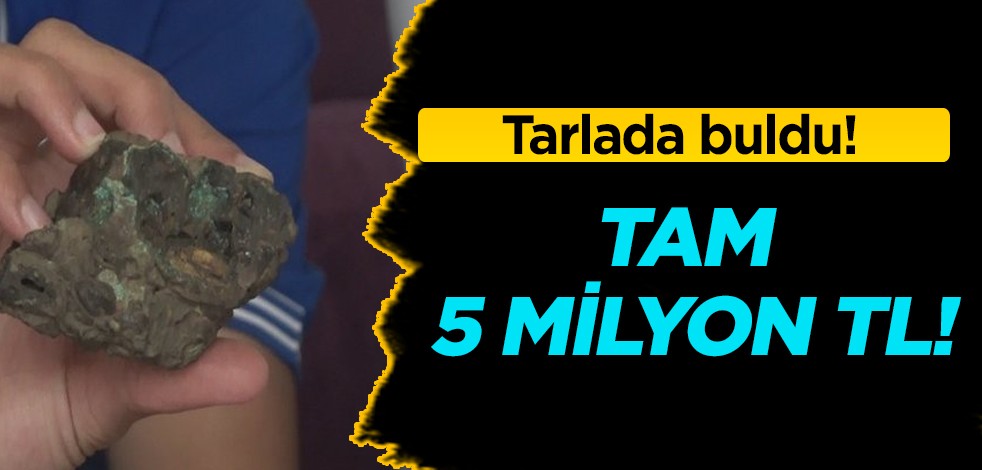 Tarlada hayvanları otlatırken buldu! Baş ağrısını geçiriyor diye iddia edilen şeyi satışa koydu: Tam 5 milyon TL!