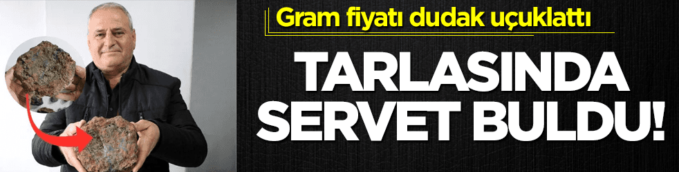 Tarlasında servet buldu! Gram fiyatı dudak uçuklattı