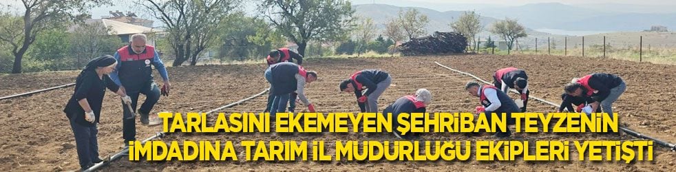 Tarlasını ekemeyen 70 yaşındaki Şehriban teyzenin imdadına Tarım İl Müdürlüğü ekipleri yetişti