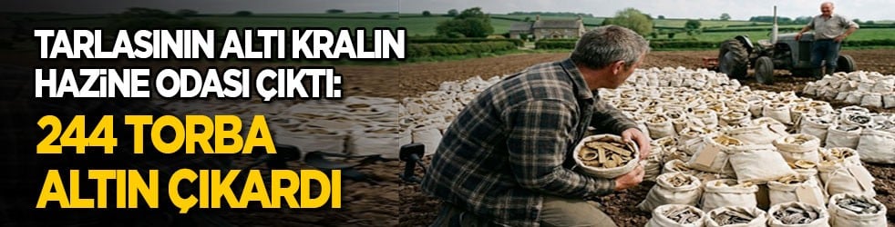 Tarlasının altı kralın hazine odası &ccedil;ıktı: 244 torba altın &ccedil;ıkardı