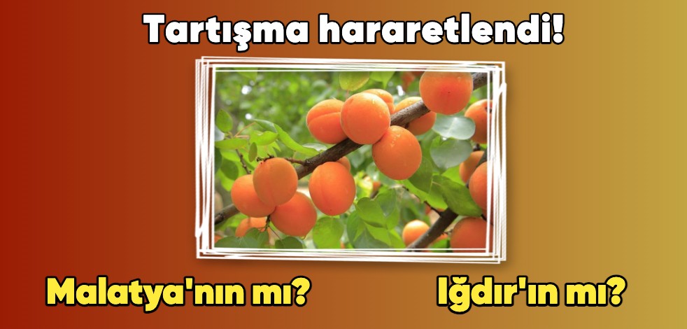 Tartışma hararetlendi! Malatya'nın mı, Iğdır'ın mı?