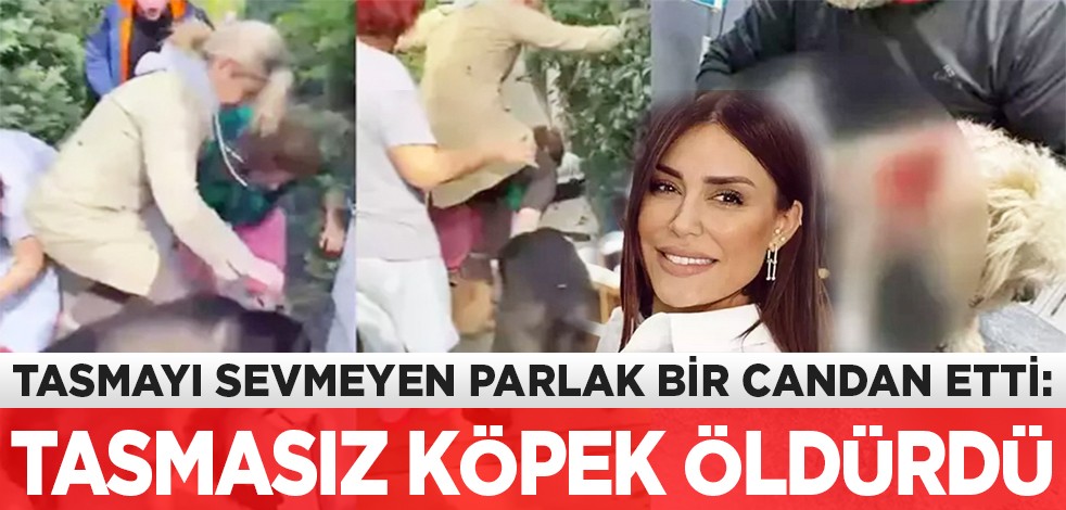 Tasmayı sevmeyen Banu Parlak bir candan etti: Tasmasız köpek öldürdü