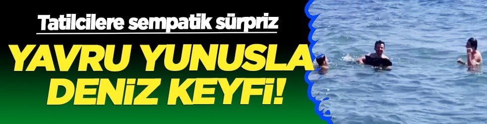 Tatilcilere sempatik sürpriz: Yavru yunusla deniz keyfi