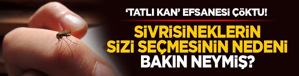 ‘Tatlı kan’ efsanesi çöktü! Sivrisineklerin sizi seçmesinin nedeni bakın neymiş?