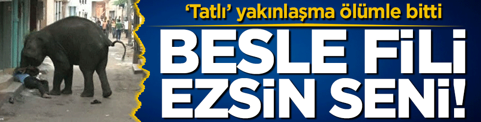 ‘Tatlı’ yakınlaşma ölümle bitti: Besle fili ezsin seni!