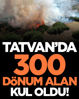 Tatvan’da 300 dönüm alan kül oldu!