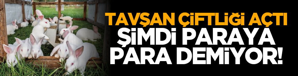 Tavşan çiftliği açtı, şimdi paraya para demiyor!