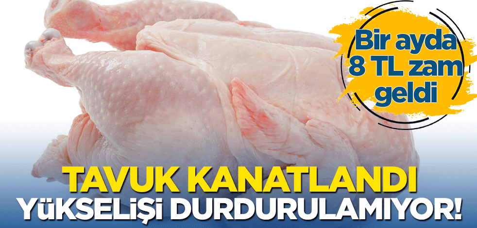 Tavuk kanatlandı, yükselişi durdurulamıyor! Bir ayda 8 TL zam geldi