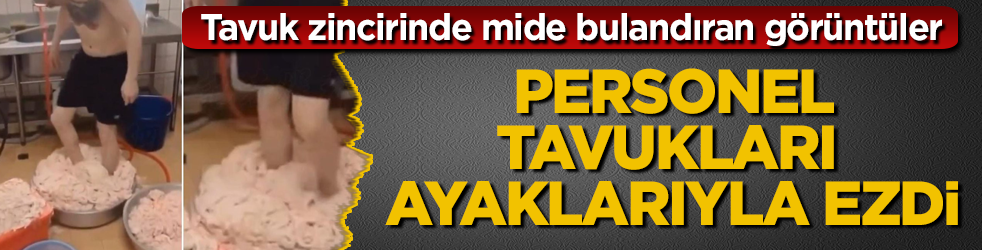 Tavuk zincirinde mide bulandıran görüntüler: Personel, tavukları ayaklarıyla ezdi