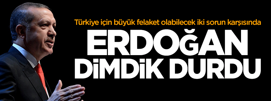 Tayiz: Erdoğan, Türkiye için iki sorun karşısında dik durdu
