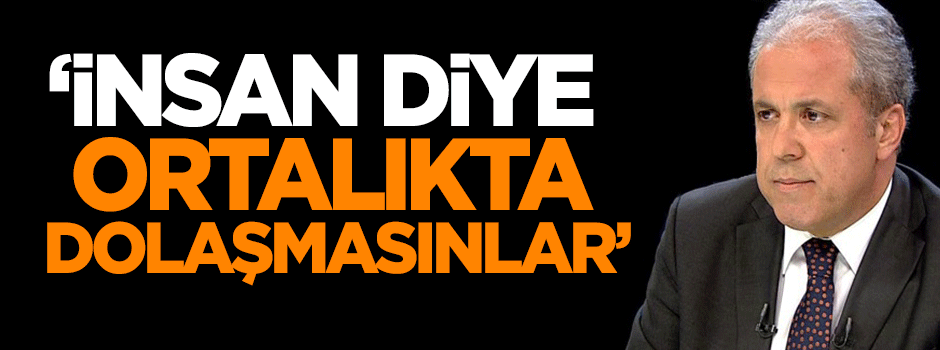 Tayyar: İnsan diye ortalıkta dolaşmasınlar