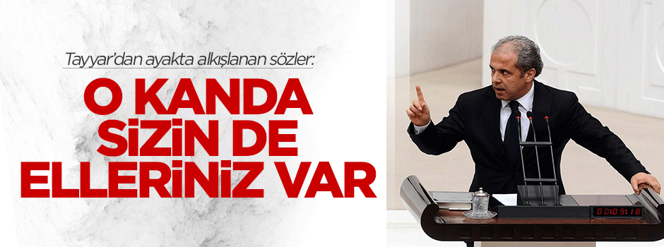 Tayyar'dan HDP'lilere: O kanda sizin de elleriniz var