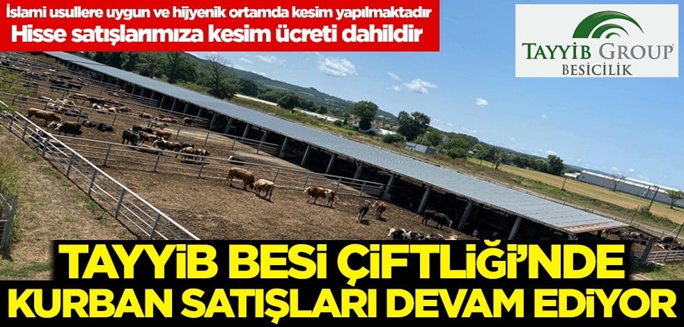 Tayyib Besi Çiftliği'nde kurban satışları devam ediyor