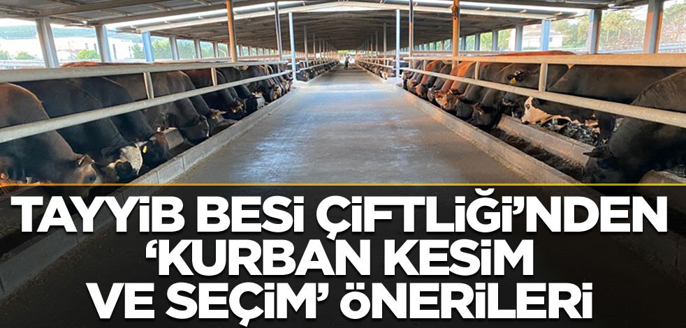 Tayyib Besi Çiftliği’nden "Kurban kesim ve seçim" önerileri