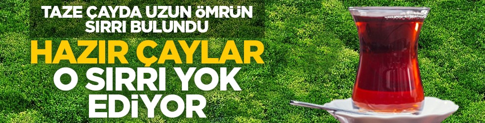 Taze çayda uzun ömrün sırrı bulundu: Hazır çaylar o sırrı yok ediyor