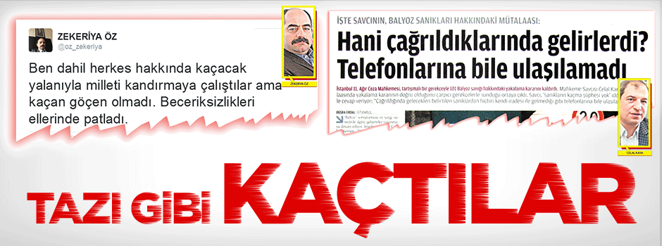 Tazı gibi kaçtılar