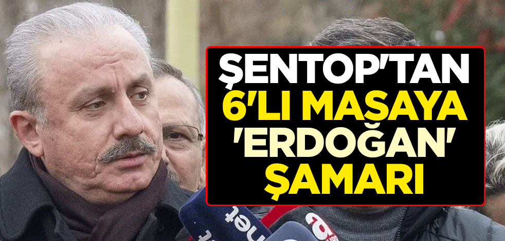 TBMM Başkanı Mustafa Şentop'tan 6'lı masaya 'Erdoğan' şamarı