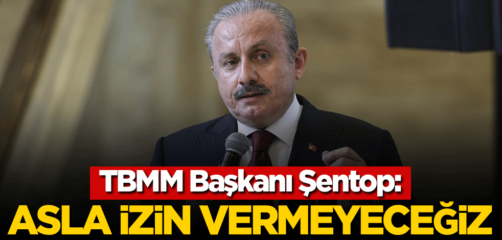 TBMM Başkanı Şentop: Asla izin vermeyeceğiz
