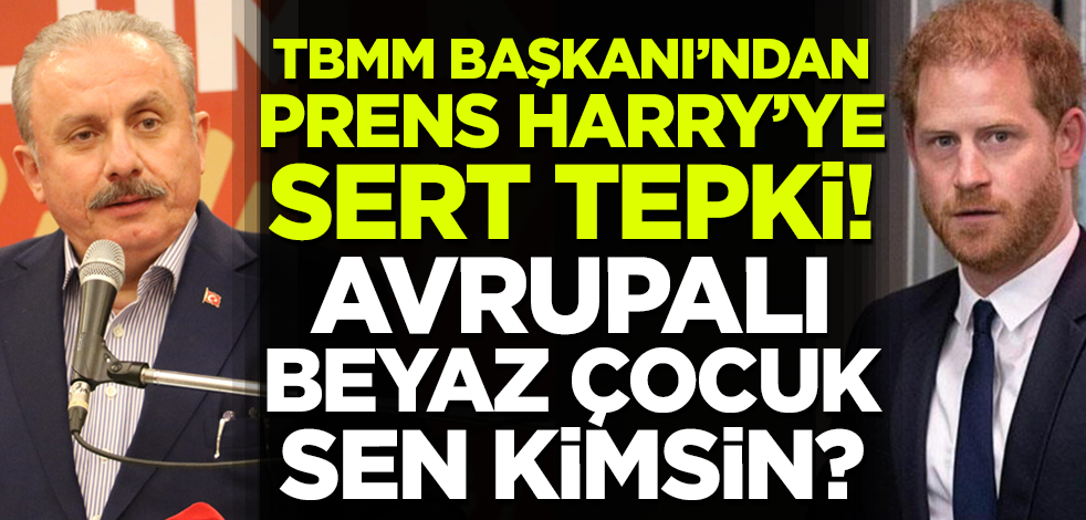 TBMM Başkanı Şentop'tan Prens Harry'nin skandal sözlerine tepki! 'Avrupalı beyaz çocuk, sen kimsin?'