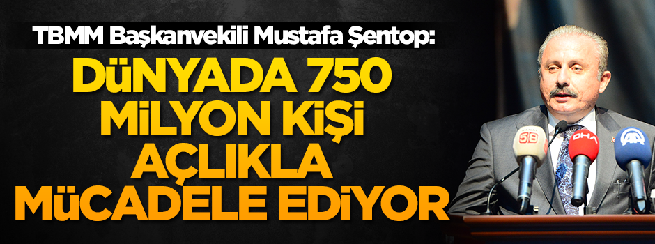 TBMM Başkanvekili Mustafa Şentop: Dünyada 750 milyon kişi açlıkla mücadele ediyor