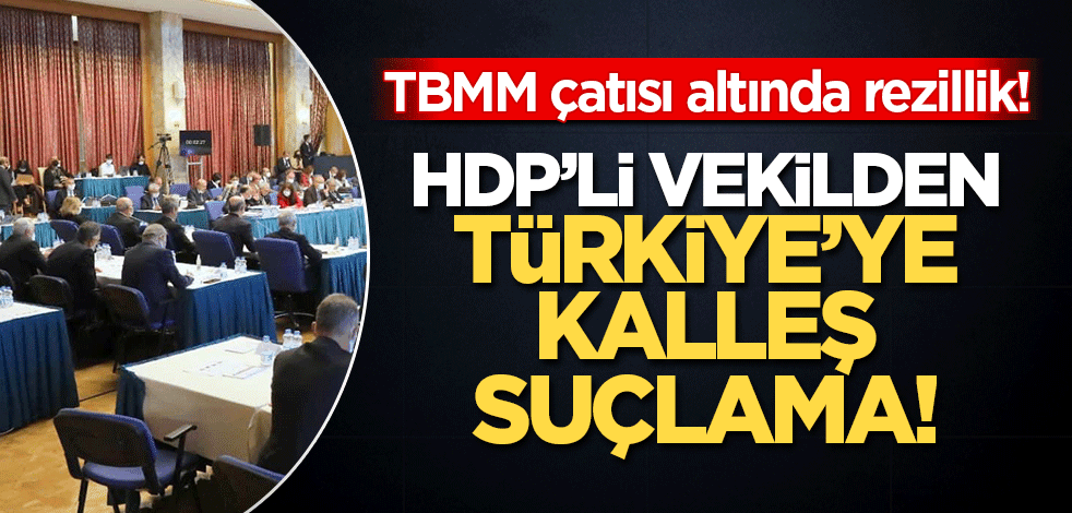 TBMM çatısı altında rezillik! HDP'li vekilden maaşını aldığı Türkiye'ye kalleş suçlama
