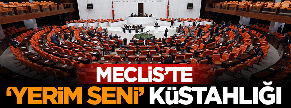 TBMM'de CHP' li vekilden AK Partili isme tehdit: Yerim seni çiğ çiğ
