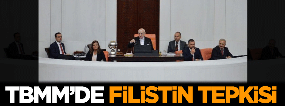 TBMM'de Filistin tepkisi