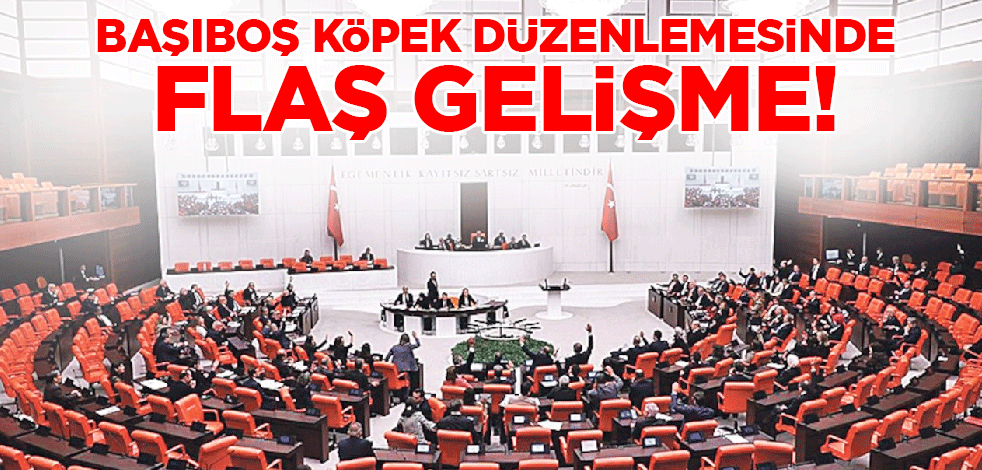 TBMM'de Komisyonu'nda görüşülüyor! Başıboş köpeklere ilişkin yasada flaş gelişme