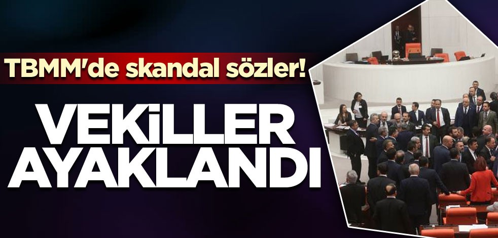 TBMM'de skandal sözler! Vekiller ayaklandı