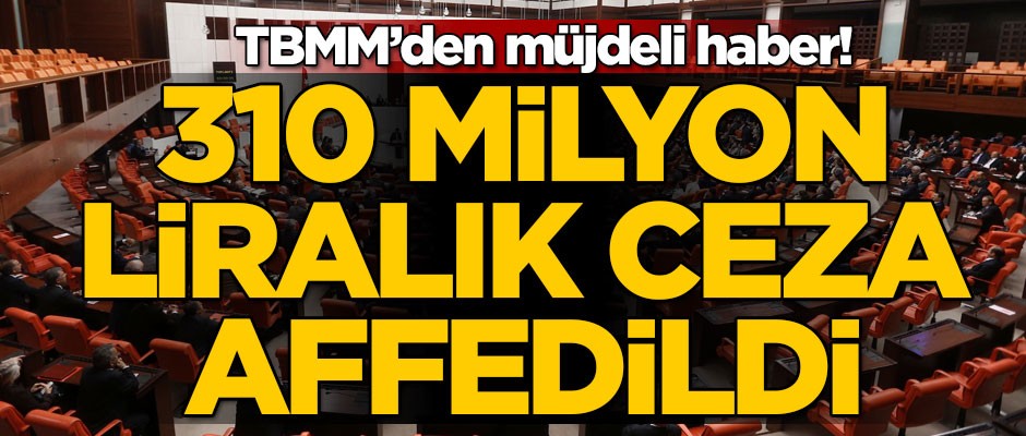 TBMM'den müjdeli haber! 310 milyon liralık ceza affedildi