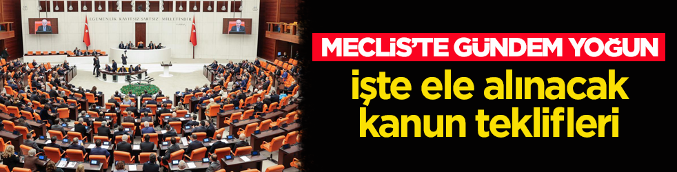 TBMM’nin bu haftaki gündemi belli oldu