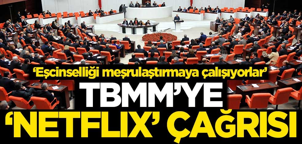 TBMM'ye 'Netflix' çağrısı