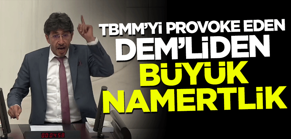 TBMM'yi provoke eden DEM'liden büyük namertlik!