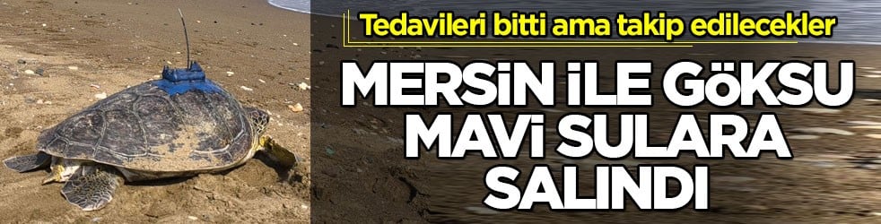 Tedavileri bitti ama takip edilecekler! Mersin ile Göksu mavi sulara salındı