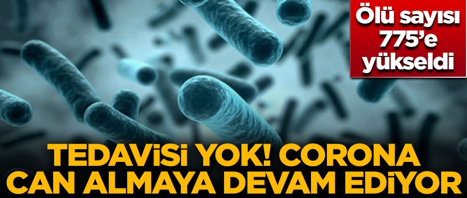 Tedavisi olmayan virüs can almaya devam ediyor! Ölü sayısı artıyor