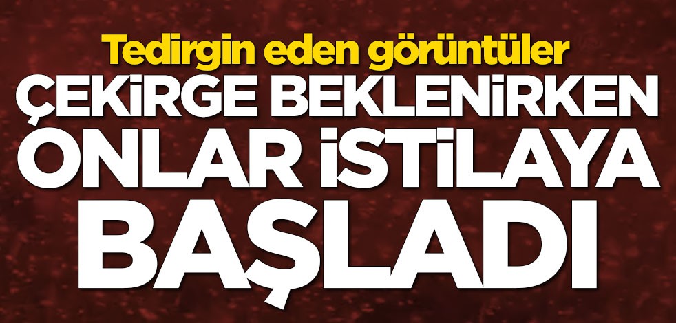 Tedirgin eden görüntüler! Çekirge beklenirken onlar istilaya başladı