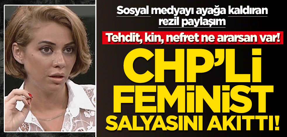 Tehdit, kin, nefret ne ararsan var... CHP’li feminist Feyza Altun salyasını akıttı!