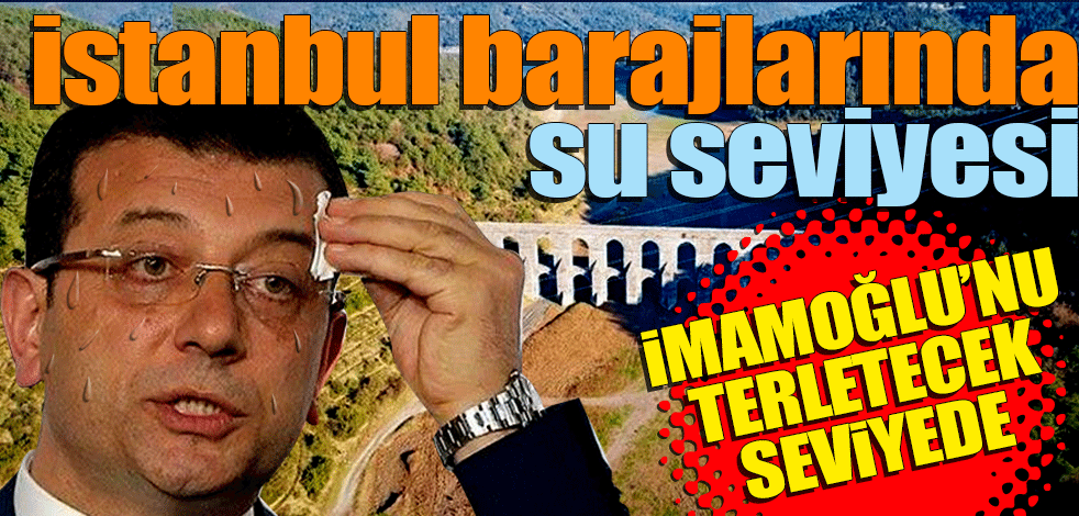 Tehlike çanları İstanbul için çalıyor! Yüzde 35'in altına düştü