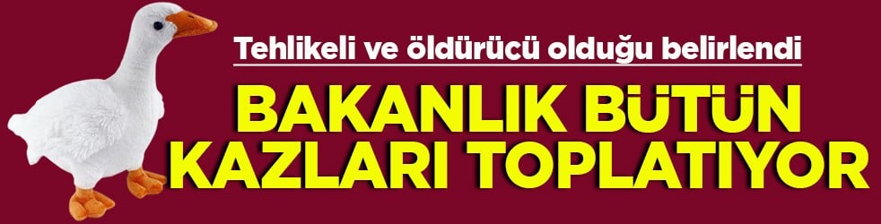 Tehlikeli ve öldürücü olduğu belirlendi Bakanlık bütün kazları toplatıyor